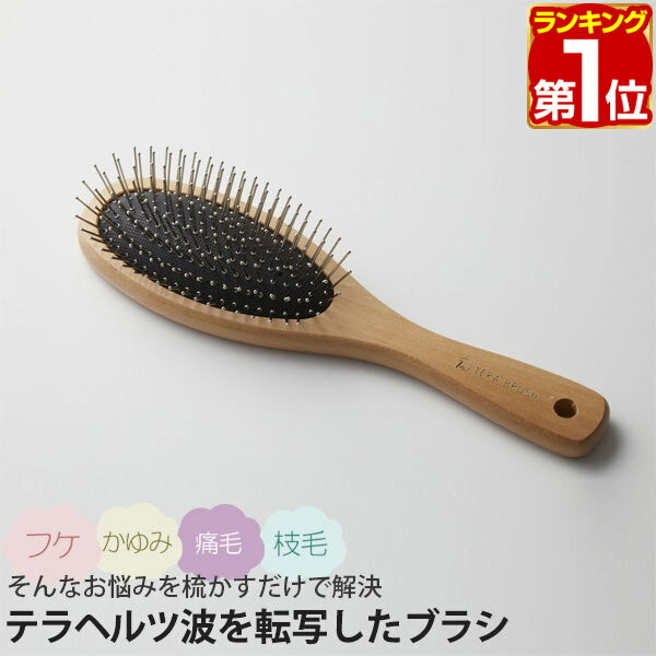 【楽天1位】正規品 TERA BRUSH テラブ