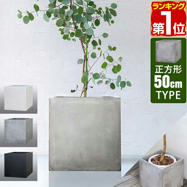 植木鉢 おしゃれ 大型 バスクキューブ (2色) ファイバークレイ 40cm 50cm 60cm 軽い セメント 白 グレー 穴あり コンクリート 四角 スクエア 正方形 立方体 軽量 プランター 鉢 特大 大きめ ガーデニング 屋外 植え替え 鉢植え 園芸 観葉植物 多肉植物 塊根植物 サボテン