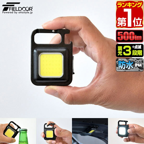 【楽天1位】LEDライト 充電式 小型 