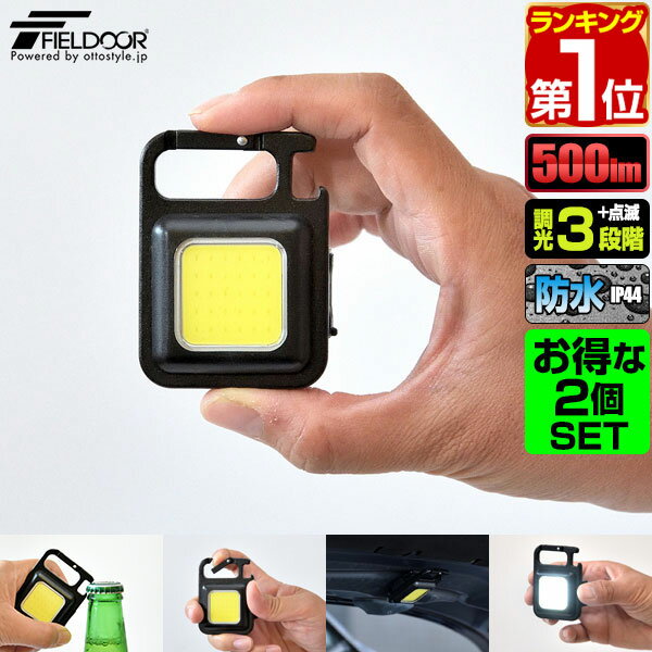 【楽天1位】LEDライト 充電式 小型 