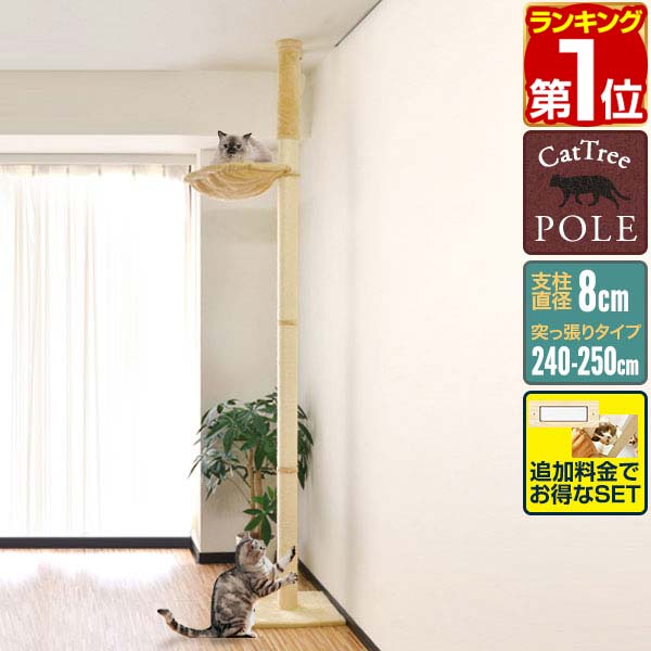 【楽天1位】キャットツリー 突っ張り 直径 8cm 高さ 240 - 250cm 幅 40cm ハンモック付き 猫タワー シニア 運動不足 猫ちゃん 木登り きのぼり 木登りタワー 木登りキャットポール 組み立て 設置 簡単 爪とぎ 多頭 猫 ねこ ペット スリム 1年保証 ●[送料無料][あす楽]のサムネイル