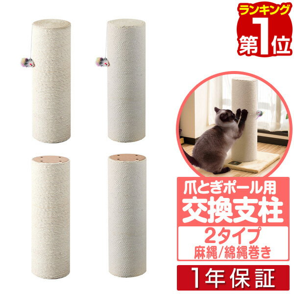 【楽天1位】極太猫爪とぎポール 60cm用 交換...の商品画像