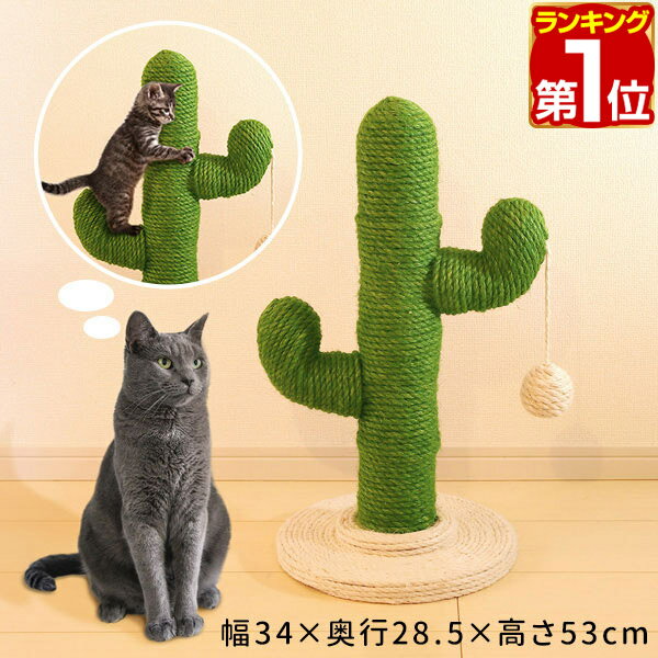 【楽天1位】猫 爪とぎ ポール サボテン型 麻縄巻き 高さ約53cm 据え置き 天然 麻巻き 麻 ねこ つめとぎ ネコ 爪とぎポール 支柱 爪研ぎ 爪磨き ストレス解消 ミニ キャットツリー 猫用品 おもちゃ付き 猫カフェ かわいい さぼてん 1年保証 ★ 送料無料