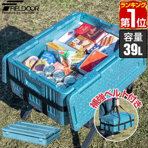 【楽天1位】折りたたみ クーラーボックス 大容量 大型 39L クーラーBOX クーラーバッグ 保温バッグ 保冷バッグ 60.5×40.5×26cm コンパクト 軽量 折り畳み 断熱 保冷箱 保温箱 釣り キャンプ BBQ スポーツ 買い物 おすすめ FIELDOOR 1年保証 ★[送料無料][あす楽]