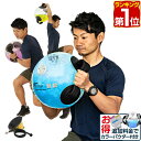 【楽天1位】 ウォーターバッグ 体幹トレーニング 最大14kg/14L サイズ コアトレーニング タ