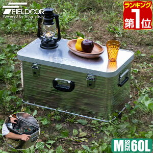 【楽天1位】コンテナボックス アルミ製 Mサイズ 60L 収納ボックス フタ付き 収納ケース アルミ 60リットル 65 x 35 x 33cm 収納 道具入れ ストッカー 収納BOX 屋内 屋外 アウトドア テーブル スタッキング キャンプ用品 FIELDOOR 1年保証 ★[送料無料]