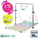 【楽天1位】鉄棒 室内 家庭用 耐荷重80kg 折りたたみ鉄棒 SGマーク取得 信頼 安全 鉄棒室内 逆上がり てつぼう おりたたみ 折り畳み 子供 キッズ 3才～ 逆上がり 補助ベルト クッション マット 男の子 女の子 保育園 幼稚園 小学校 1年保証 ★[送料無料]