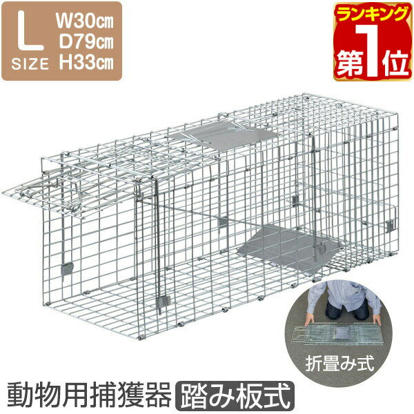 【楽天1位】動物 捕獲器 Lサイズ 30x7