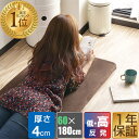 【楽天1位】長座布団 低反発 ごろ寝