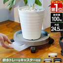 【楽天1位】植木鉢 受け皿 水受け付き キャスター台車 28.5cm 丸型 トレイ 受皿 観葉植物 鉢植え 鉢台 鉢皿 台 キャスター付きプランタートレー プラ...