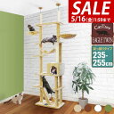 【SALE特価10,450円5/16(金)01:59まで】キャットツリー 突っ張り 高さ 235〜255cm 幅 60cm 猫タワー シニア 運動不足 猫ちゃん...