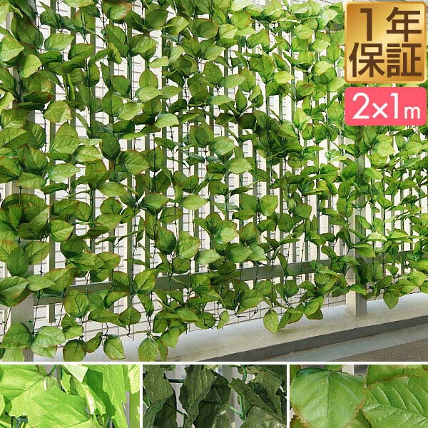 【今だけ4%OFF！6/11(水)01:59まで】グリーンフェンス 1m×2m 緑のカーテン 目隠し グリーンカーテン 目隠しフェンス ベランダ 葉っぱ グリーン 窓 カーテン フェンス 植物 バラ 葉 トレリス ラティス 日よけ ガーデン 日除け ★[送料無料]