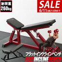 【今だけ8%OFF!6/11(水)01:59まで】フラットインクライン...(4)