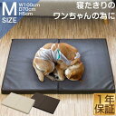 【今だけ13%OFF!6/11(水)01:59まで】ペット 床ずれ 防止 クッション ペット用 床ずれ防止マットレス Mサイズ 100 x 70 x 5cm 介...