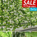 【3,960円→SALE3,740円〜7/11(金)01:59まで】【楽天1位】グリーンフェンス 1m×3m 緑のカーテン 目隠し グリーンカーテン 目隠しフェ...