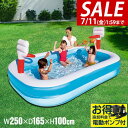 【3,410円→SALE2,970円〜7/11(金)01:59まで】【楽天1位】プール 大型 2.5m ビニールプール バスケットゴール&ボール付き ファミリー...