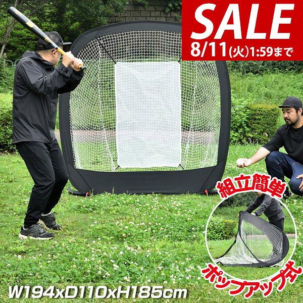 【9,900円→SALE8,910円〜8/11(火)01:59まで】【楽天1位】野球 練習 ネット バッテ...
