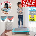 【8,910円→SALE7,920円〜9/11(木)01:59まで】ジャンピングボード トランポリン 65cm ボード型トランポリン ジャンプ 飛び跳ね 室内 ...