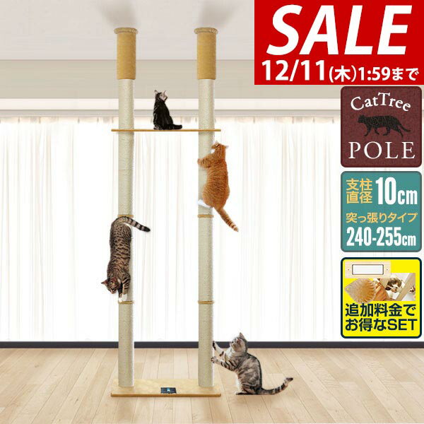 【10,450円→SALE9,790円〜12/11(木)01:59まで】【楽天1位】キャットツリー 突っ張り ツイン 直径 10cm ..