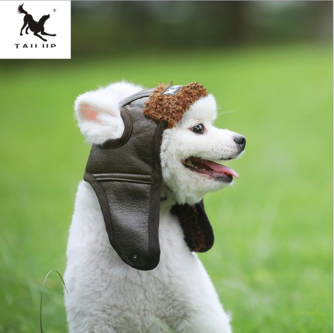 【在庫処分】ペット用 帽子 パイロット帽 裏起毛付き 暖か 小型犬用【返品交換不可】【ラッピング不可】【cocoro】