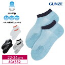 10%OFF GUNZE グンゼ アセドロン レディース スニーカー丈ソックス 靴下 防臭 22-24cm AGX552