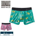20%OFF GUNZE グンゼ BODY WILD ボクサーブリーフ ボクサーパンツ 前とじ 吸汗速乾 ストレッチ素材 (M・Lサイズ) BWG179A