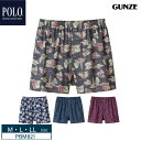 20%OFF GUNZE グンゼ POLO BCS ポロ トランクス パンツ 前あき (M・L・LLサイズ) PBM821