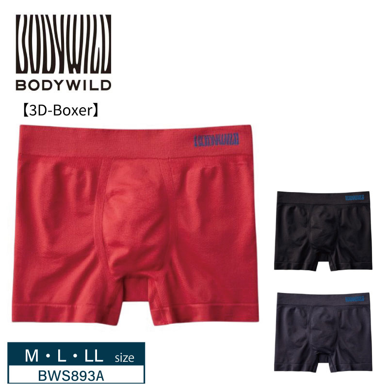 Gunze - 20%OFF GUNZE グンゼ BODY WILD 3D-Boxerシリーズ ボディワイルド ボクサーパンツ メッシュ 立体成型ボクサー (前とじ) M・L・LLサイズ BWS893A