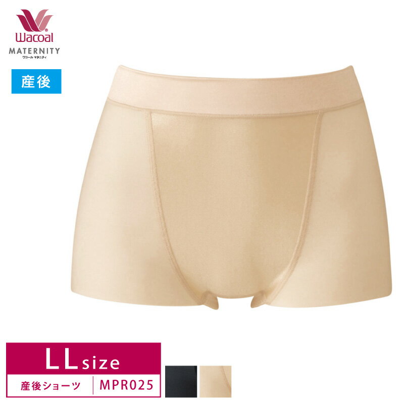 25%OFF 拾 ޥ˥ƥ äȤϤơץݡȡڻ奷ץѥġۻѥ硼 LL MPR025 3mY