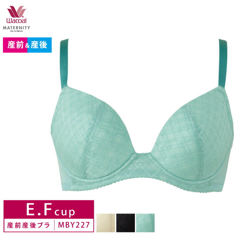 25%OFF 拾 wacoal ޥ˥ƥ 쥤ˤߤƤ䤵֥    ֥饸㡼 3/4å 磻䡼֥ ñ EFå MBY227 glm 3mY