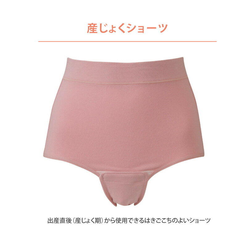 【ウイングマタニティ】wing ウイング Maternity マタニティ Wing Maternity ウイング マタニティ ワコール Wacoal 産じょく用 産じょくショーツ (LLサイズ) MIR279 3