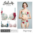 25%OFF ワコール Wacoal サルート salute 16グループ 16G P-UPブラ プッシュアップ 3/4カップブラジャー 下着 単品 レディース...
