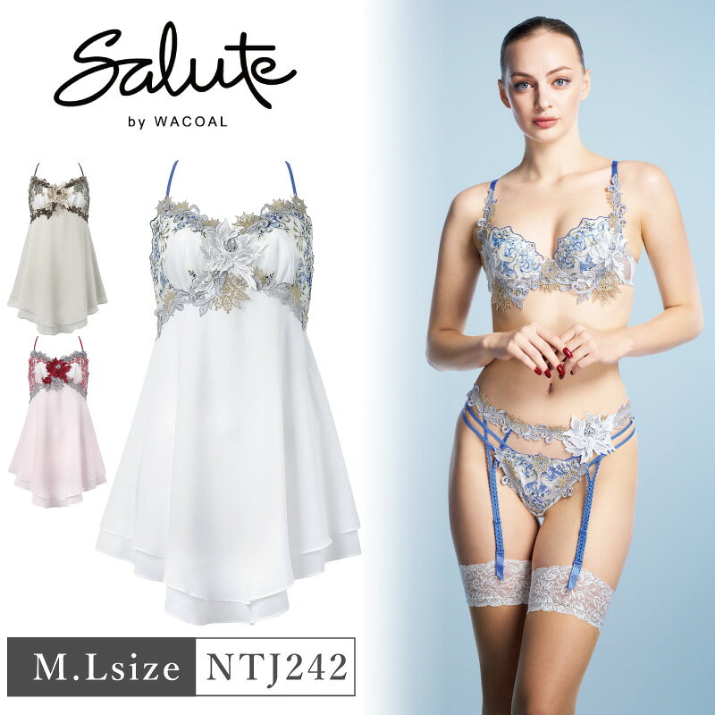 25%OFF ワコール Wacoal サルート salute 42グループ 42G BTJ442 ペア ランジェリードレス スリップ 下着 単品 レディース 女性 M・Lサイズ NTJ242