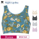 25 OFF ワコール Wacoal ナイトアップブラ Night Up Bra おやすみブラ 夜用ブラ ナイトブラ バストケア 下垂防止 ノンワイヤーブラ (3Lサイズ) BRA164 3wY