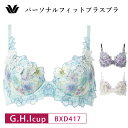 25%OFF ワコール Wacoal プレミアム WACOAL premium ワコールプレミアム 17グループ 17G パーソナルフィットプラスブラ 3/4カ...