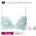 25%OFF ワコール Wacoal プレミアム WACOAL premium ワコールプレミアム 17グループ 17G フロントエックスプラスブラ 3/4カッ...