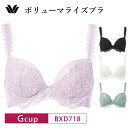 25%OFF ワコール Wacoal プレミアム WACOAL premium ワコールプレミアム 18グループ 18G ボリューマライズブラ 3/4カップブラ...