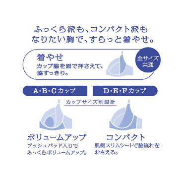 30%OFF ワコール Wacoal ウイング Wing きれいのブラ 贅沢スリムType 3/4カップブラジャー E・Fカップ KB2953