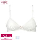 28%OFF ウイング ティーン Wing Teen ブラジャー やわらかカップ ノンワイヤー 後ろホックあり ステップ3 STEP3 (A・Bカップ) RB2015 3uY