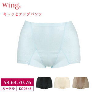 25%OFF 拾 Wacoal Wing  äȥåץѥ 硼Ⱦ楬ɥ (58S64M70M76LKQ0545 3uY