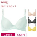 20%OFF ワコール Wacoal Wing ウイング 夏のうすかるブラ 3/4カップブラジャー 下着 レディース C・Dカップ KB2873