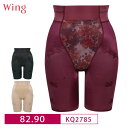 20%OFF ワコール Wacoal Wing ウイング ハミデンヌ ロングガードル 1枚履き可能 (Qサイズ) KQ2785 3uY