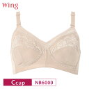 20%OFF ワコール ウイング Wacoal wing ラクなつけごこちでバストをやさしくホールド ノンワイヤーブラ(Cカップ)NB6000 3uY