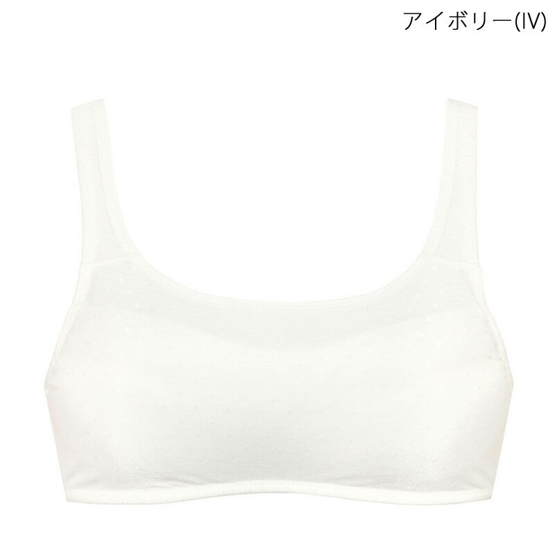 20%OFF ワコール Wacoal ウイング ティーン Wing Teen ハーフトップ ブラジャー ジ...
