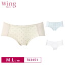 18%OFF ワコール Wacoal ウイング ティーン Wing Teen ジュニア RB2451 ペア ショーツ non PK 綿混 (M・Lサイズ)RJ3451