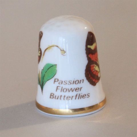 パッションフラワー バタフライ 蝶 Passion Flower Butterfly ケイバーズウォール ...