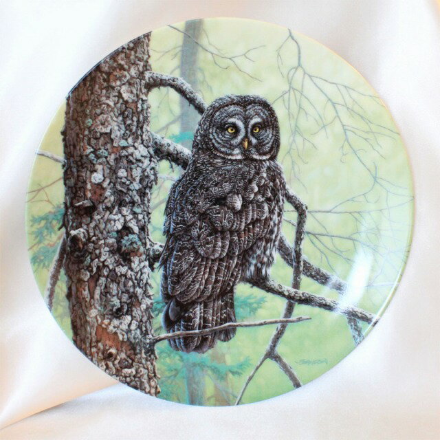 쥤 졼  Great Grey Owl եȥե Ҹեγ Jim Beaudoin ꥫΥ...