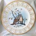 15000枚の限定生産 ソーウェット アウル Saw Whet Owl ヒメキンメフクロウ エドワード マーシャル ベーム 1980年 Boehm Owl Co...