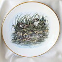 カワウソの親子 オッター Otter プレート 大きな絵皿 Allen Payne アレン ペイン 画 ロイヤル グラフトン ROYAL GRAFTON ウォー...