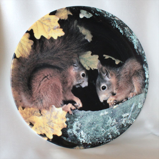 限定発行 可愛らしい栗鼠 りす 森の小さな友達 ロイヤル ドルトン Royal doulton 限定発行 赤リスイギリス 絵皿 ウォール プレート 飾り皿 プレゼント ギフト 【中古】 【送料無料】 02P31Aug16 02P06Aug16 532P14Aug16